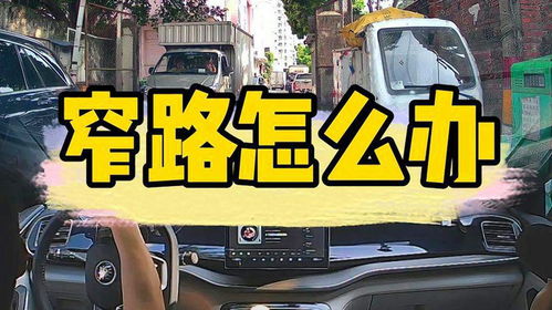 蓟县汽车陪练价格多少 蓟县汽车陪练价格多少